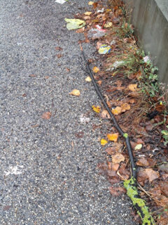 Incuria e sporcizia in via Abbagnano