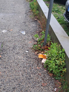 Incuria e sporcizia in via Abbagnano