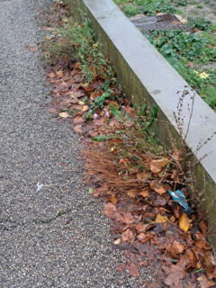 Incuria e sporcizia in via Abbagnano