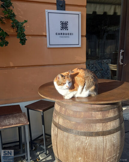 Luna al Caffè Carducci - Foto Nadia Emili