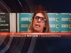 senigallia notizie telegiornale
