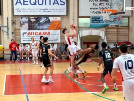 Filippo Maria Cicconi Massi