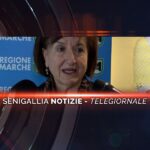senigallia notizie telegiornale