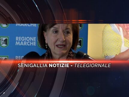 senigallia notizie telegiornale