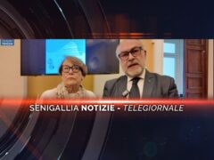 senigallia notizie telegiornale