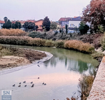 La curva del Misa - Foto Francesco Sanò