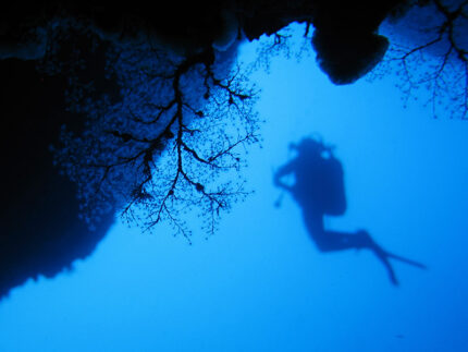 Sub, immersioni, subacqueo, fondali marini