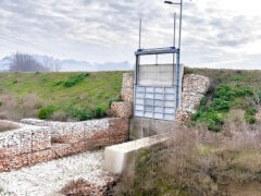 Vasca di espansione di Bettolelle di Senigallia