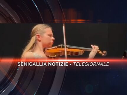 senigallia notizie telegiornale