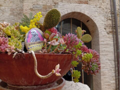 Volti di donne, pensatrici, scrittrici e filosofe, femministe e transfemministe, disseminate per Senigallia con le loro citazioni