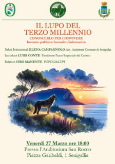 Il lupo del terzo millennio