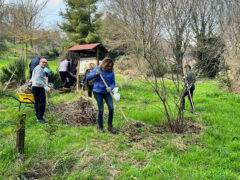Volontari ucraini e italiani hanno ripulito il parco tematico Bosco Mio Volontari ucraini e italiani hanno ripulito il parco tematico Bosco Mio