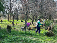 Volontari ucraini e italiani hanno ripulito il parco tematico Bosco Mio Volontari ucraini e italiani hanno ripulito il parco tematico Bosco Mio