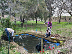 Volontari ucraini e italiani hanno ripulito il parco tematico Bosco Mio Volontari ucraini e italiani hanno ripulito il parco tematico Bosco Mio