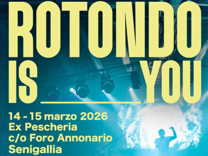 Rotondo is you