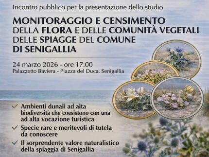Incontro sulla biodiversità della fauna presente sulle spiagge senigalliesi