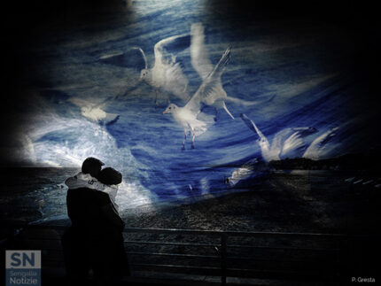 Coccole - Foto Paolo Gresta