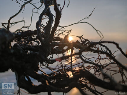 Lunedì è sorto anche oggi - Foto Barbara Gaboardi