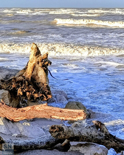 Legno e acqua - Foto Francesco Sanò