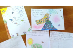 Disegni giunti nei reparti dell'ospedale di Senigallia