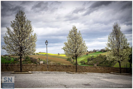 Primavera tra le mura - Foto Roberto Canestrari