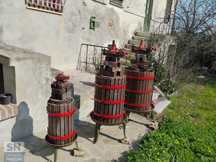 I 3 torchi di Montalfoglio - Foto Giancarlo Rossi