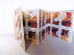 Fernanda Fedi - Music