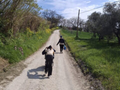 Attività sul territorio per i beneficiari SAI di Senigallia Attività sul territorio per i beneficiari SAI di Senigallia