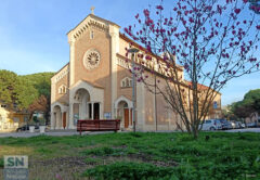 Fioritura al Portone - Foto Fedele Ruvio