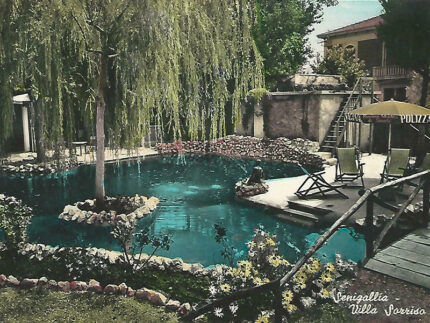 Particolare del giardino e laghetto di Villa Sorriso, 1956