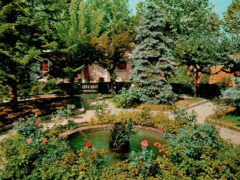 Giardino e particolare del laghetto di Villa Sorriso, 1956