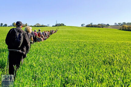 Scampagnata - Foto Francesco Sanò