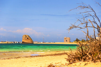 Torre Pali