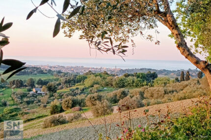 La città dalla collina - Foto Francesco Sanò