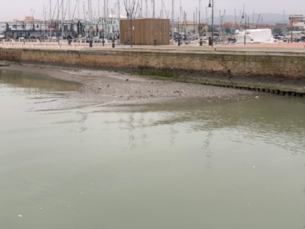 Sedimenti nel porto di Senigallia