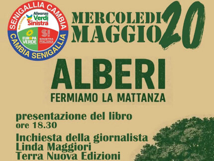Alberi. Fermiano la mattanza