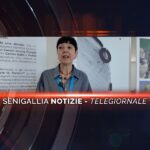senigallia notizie telegiornale