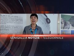 senigallia notizie telegiornale