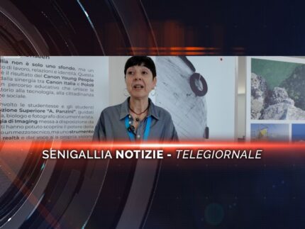 senigallia notizie telegiornale