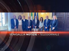 senigallia notizie telegiornale