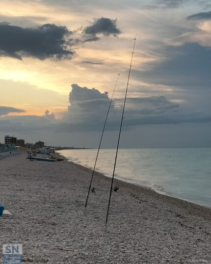 Le canne che ci piacciono - Foto Simone Secondini