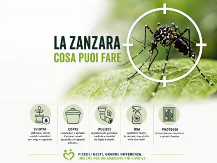 La zanzara, cosa puoi fare