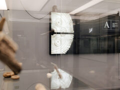 Museo Archeologico di Arcevia