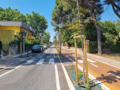Viale Anita Garibaldi a Senigallia Viale Anita Garibaldi a Senigallia