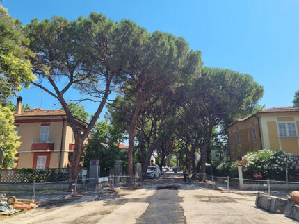 Viale Anita Garibaldi a Senigallia