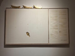 Profughi d'acqua, mostra di Beppe Sabatino alla Rocca Roveresca