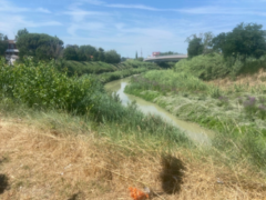 Tratto del Misa tra il ponte Portone e il ponte Zavatti
