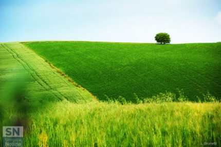Verdi colline - Foto Loriano Brunetti