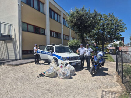 Polizia Locale con merce sequestrata in spiaggia a Senigallia