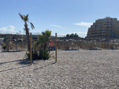 Baia Canaria - Spiaggia attrezzata per cani e famiglie a Senigallia Baia Canaria - Spiaggia attrezzata per cani e famiglie a Senigallia